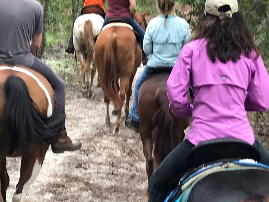 Equestrian Trails