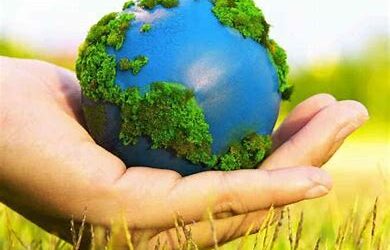 What’s blooming in Pine Ridge