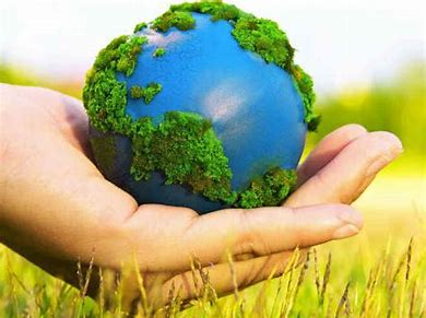 Environmental Awareness and Education Committee Article
