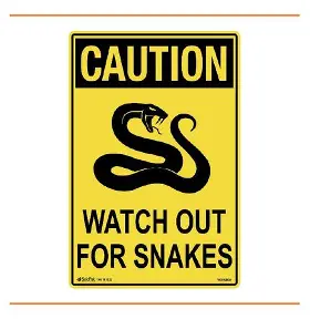 Information about Snakes ~ Request due to Recent Activity