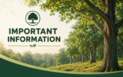 New Tree Restrictions for Undeveloped Lots in Pine Ridge