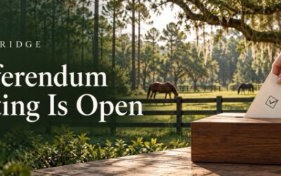 The Voting Is Open for the Referendum